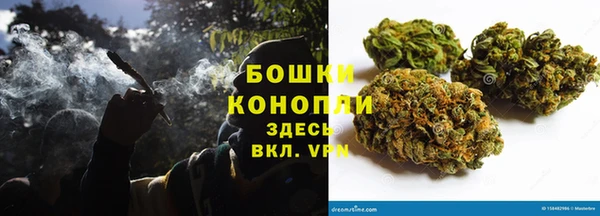 PSILOCYBIN Алексеевка