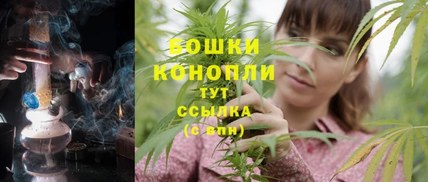 PSILOCYBIN Алексеевка